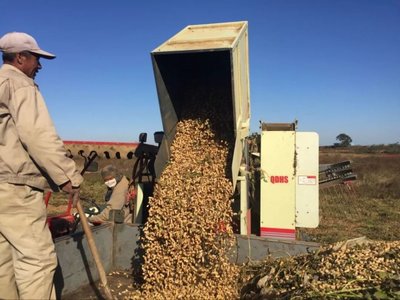 新型农业经营者的规模化之路与有机肥补贴政策分析